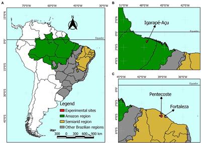 Agrometeorological and Agronomic Characterization of Megathyrsus Grasses Cultivated in Tropical Humid and Semi-Arid Conditions: A Multivariate Approach